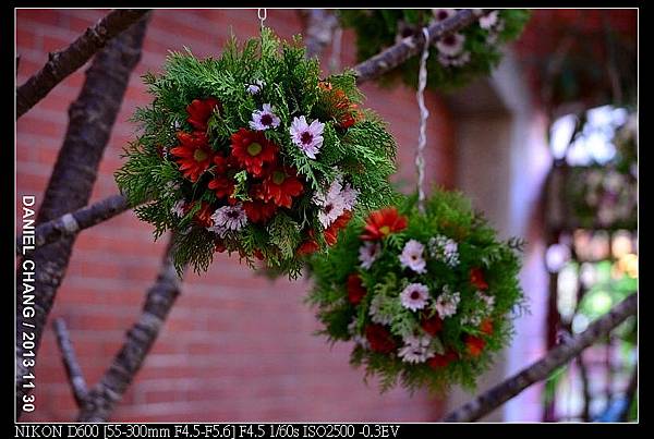 nEO_IMG_131130--Shilin Garden Festival 085-800.jpg