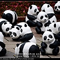 nEO_IMG_140221--Paper Panda 037-800.jpg