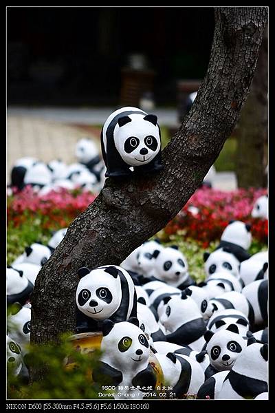 nEO_IMG_140221--Paper Panda 075-800.jpg