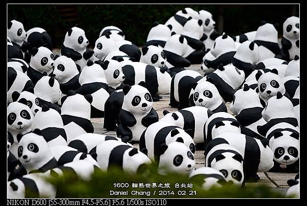 nEO_IMG_140221--Paper Panda 096-800.jpg