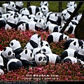 nEO_IMG_140221--Paper Panda 130-800.jpg