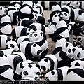 nEO_IMG_140221--Paper Panda 152-800.jpg