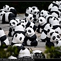 nEO_IMG_140221--Paper Panda 155-800.jpg