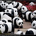 nEO_IMG_140221--Paper Panda 157-800.jpg