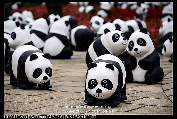 nEO_IMG_140221--Paper Panda 204-800.jpg