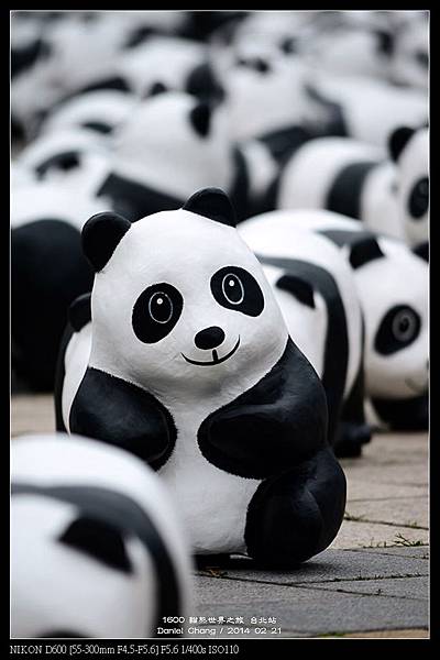 nEO_IMG_140221--Paper Panda 207-800.jpg