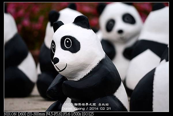 nEO_IMG_140221--Paper Panda 217-800.jpg