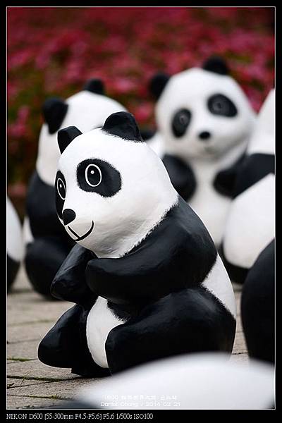 nEO_IMG_140221--Paper Panda 226-800.jpg