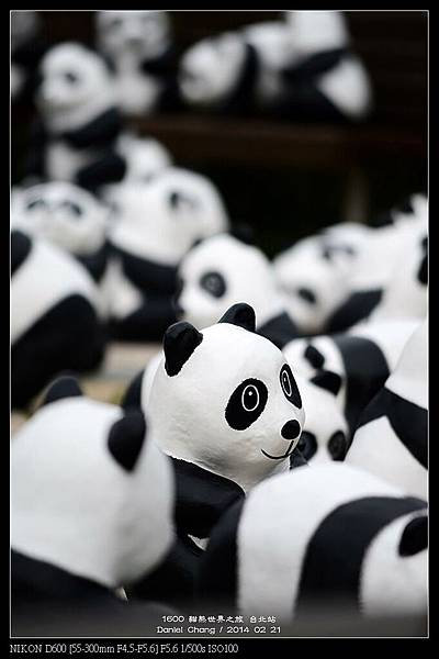 nEO_IMG_140221--Paper Panda 231-800.jpg