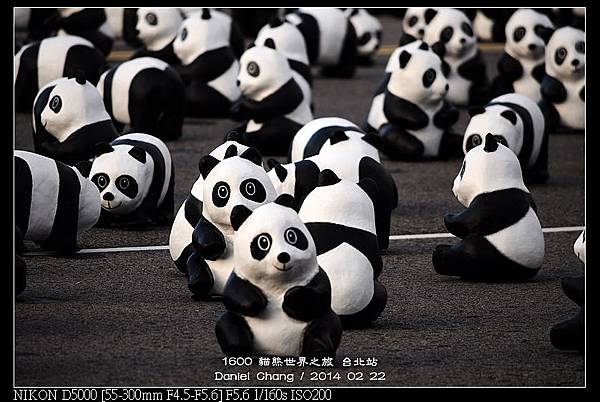 nEO_IMG_140222--1600 Pandas 047-800.jpg