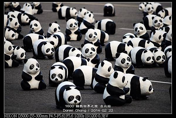 nEO_IMG_140222--1600 Pandas 104-800.jpg