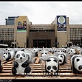 nEO_IMG_140305--Panda 087-800.jpg