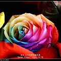 nEO_IMG_140315--Roses & Pandas 023-800.jpg