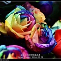 nEO_IMG_140315--Roses & Pandas 025-800.jpg