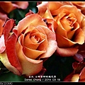 nEO_IMG_140315--Roses & Pandas 028-800.jpg