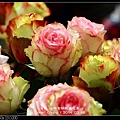 nEO_IMG_140315--Roses & Pandas 048-800.jpg