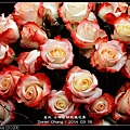 nEO_IMG_140315--Roses & Pandas 057-800.jpg