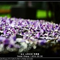 nEO_IMG_140330--Shilin Garden 056-800.jpg