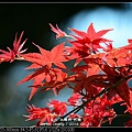 nEO_IMG_140412--BaoAn & C. Temple 162-800.jpg