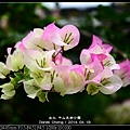 nEO_IMG_140419--ZhongShan Art Park 043-800.jpg