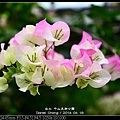 nEO_IMG_140419--ZhongShan Art Park 051-800.jpg