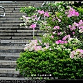 nEO_IMG_140419--ZhongShan Art Park 061-800.jpg