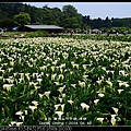 nEO_IMG_140419--Zhuzihu & Datun Park 013-800.jpg