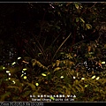 nEO_IMG_140426--Firefly 036-800.jpg