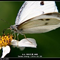 nEO_IMG_140429--Butterfly E-PL2 010-800.jpg