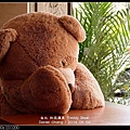 nEO_IMG_140502--Teddy Bear & Flower 012-800.jpg
