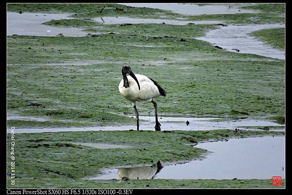 nEO_IMG_141130--HuaJiang Bird Park 017-1000.jpg