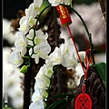 nEO_IMG_150321--Shilin Orchid D610 052-1000.jpg