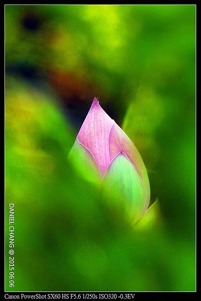 nEO_IMG_150606--ZhiDeYuan Waterlily 064-1000.jpg