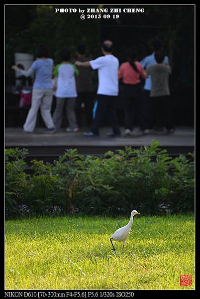 nEO_IMG_150919--Shilin Garden D610 006-1000.jpg