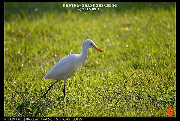 nEO_IMG_150919--Shilin Garden D610 012-1000.jpg