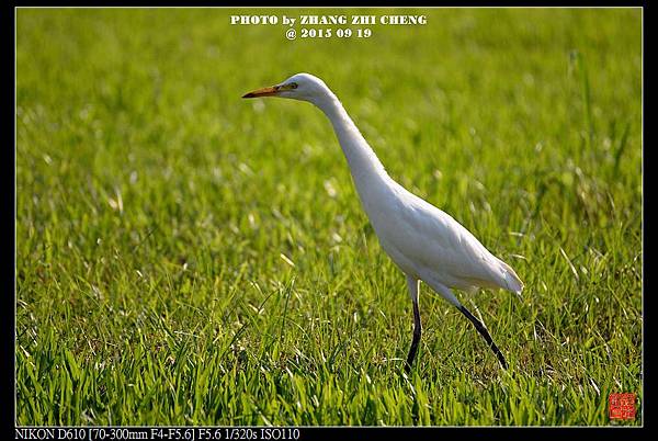 nEO_IMG_150919--Shilin Garden D610 019-1000.jpg