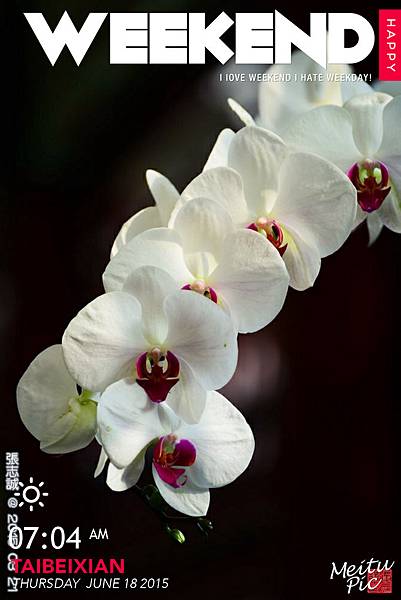 150321--Shilin Orchid D610 046-1000_mh1434582253859.jpg