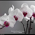 nEO_IMG_151226--Orchid & Mart 048-1000.jpg