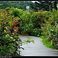 nEO_IMG_160508--Rose Garden 046-1000.jpg