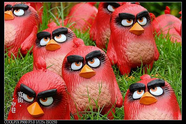 nEO_IMG_160522--Angry Birds 036-1000.jpg