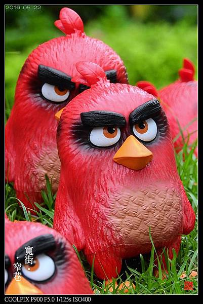 nEO_IMG_160522--Angry Birds 041-1000.jpg