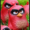 nEO_IMG_160522--Angry Birds 041-1000.jpg