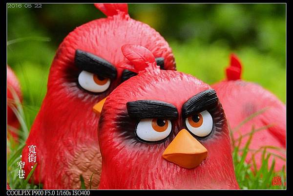 nEO_IMG_160522--Angry Birds 038-1000.jpg