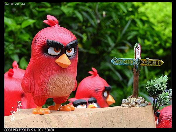 nEO_IMG_160522--Angry Birds 064-1000.jpg