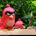 nEO_IMG_160522--Angry Birds 064-1000.jpg