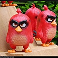 nEO_IMG_160522--Angry Birds 066-1000.jpg