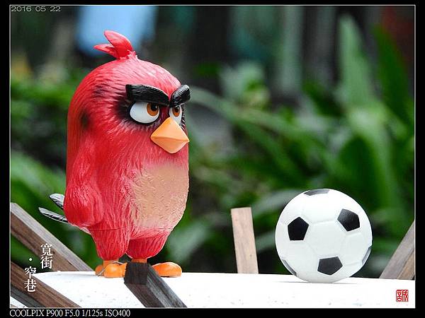 nEO_IMG_160522--Angry Birds 071-1000.jpg