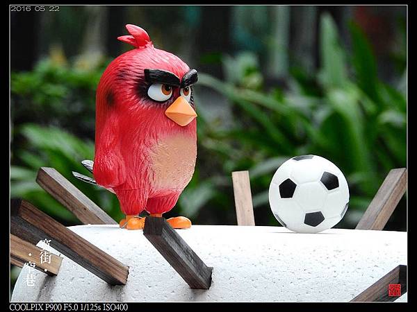 nEO_IMG_160522--Angry Birds 072-1000.jpg