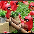 nEO_IMG_160522--Angry Birds 074-1000.jpg