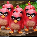 nEO_IMG_160522--Angry Birds 084-1000.jpg